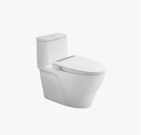 Bàn cầu 1 khối Inax AC-989+CW-S32VN