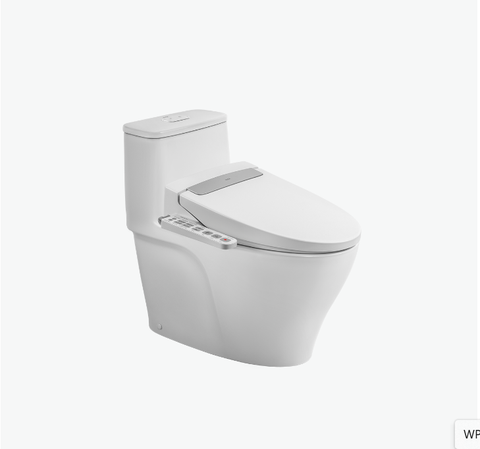 Bàn cầu 1 khối Inax AC-989+H20VN