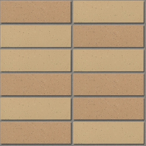 Gạch ốp tường Inax 355/EAC-3 EARTH COLOR BORDER