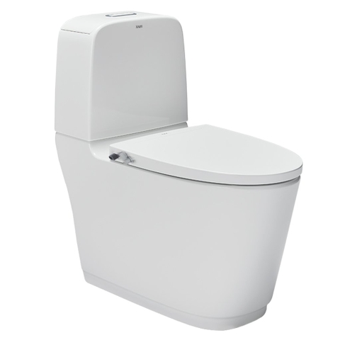 Bàn cầu 2 khối Inax AC-832+CW-S15VN