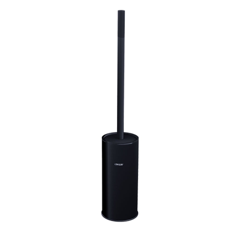 Chổi cọ phòng vệ sinh Caesar Q6308B