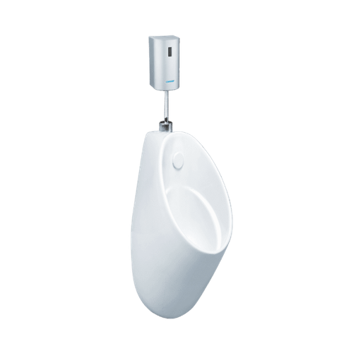 Tiểu nam Caesar U0211