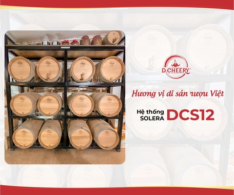Hệ thống SOLERA - DCS12