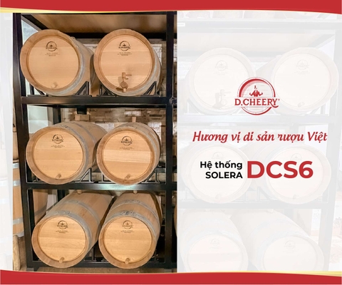 Hệ thống SOLERA - DCS6