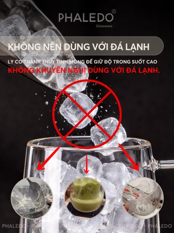 Cốc Thuỷ Tinh Borosilicate 2 Lớp Cách Nhiệt Có Tay Cầm Cao Cấp PHALEDO P-0924