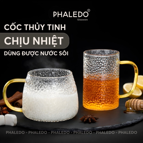 Cốc Thuỷ Tinh Harmer Chịu Nhiệt Borosilicate Có Quai Cầm, Ly Uống Nước Có Thể Đun Trên Bếp Hoặc Lò Vi Sóng - PHALEDO