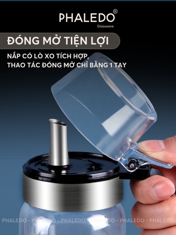 Bình đựng dầu ăn thuỷ tinh borosilicate có vòi & tay cầm inox 304, nắp đậy kín nhựa ABS đựng gia vị đa năng Phaledo - Gia dụng Plus