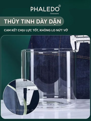 Bình Nước Thuỷ Tinh Borosilicate Cao Cấp Chịu Nhiệt Tốt Cho Nhà Hàng, Quán Ăn, Tiệc Tùng, Chân Đế Gỗ Tre - PHALEDO