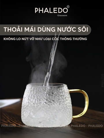 Cốc Thuỷ Tinh Harmer Chịu Nhiệt Borosilicate Có Quai Cầm, Ly Uống Nước Có Thể Đun Trên Bếp Hoặc Lò Vi Sóng - PHALEDO