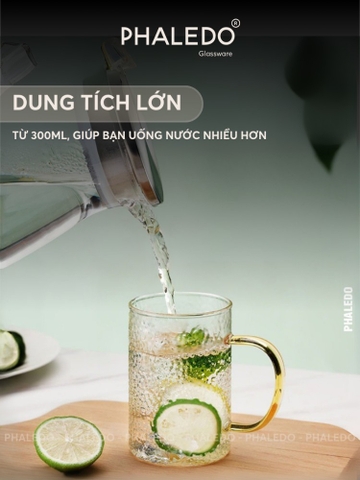 Cốc Thuỷ Tinh Harmer Chịu Nhiệt Borosilicate Có Quai Cầm, Ly Uống Nước Có Thể Đun Trên Bếp Hoặc Lò Vi Sóng - PHALEDO