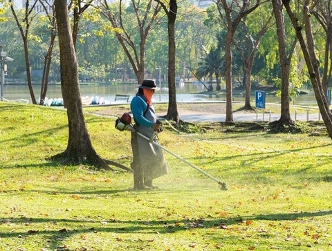 Dịch vụ Chăm sóc Cảnh Quan Sân Vườn Dự Án, Biệt Thự, Nhà Ở.