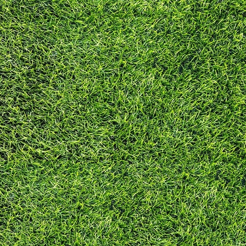 Gạch Sân Vườn Đồng Tâm 40x40