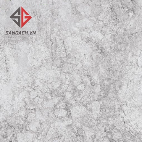 Gạch Nhập Khẩu 80x80