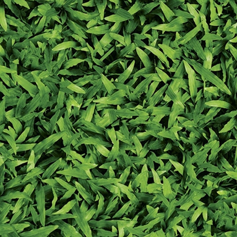 Gạch Lát Sân Vườn Đồng Tâm