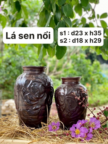 lá sen nổi