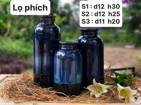 Lọ phích