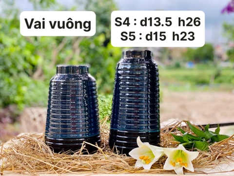 Vai vuông
