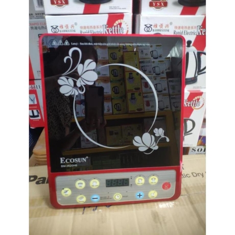 Bếp hồng ngoại Ecosun BM-IR20H6 2000W (Đen)