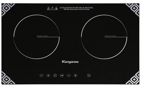 Bếp điện từ đôi KG498N