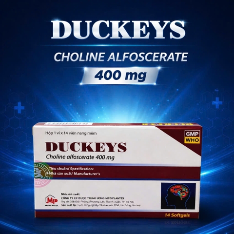 DUCKEYS (Choline alfoscerate 400mg)
