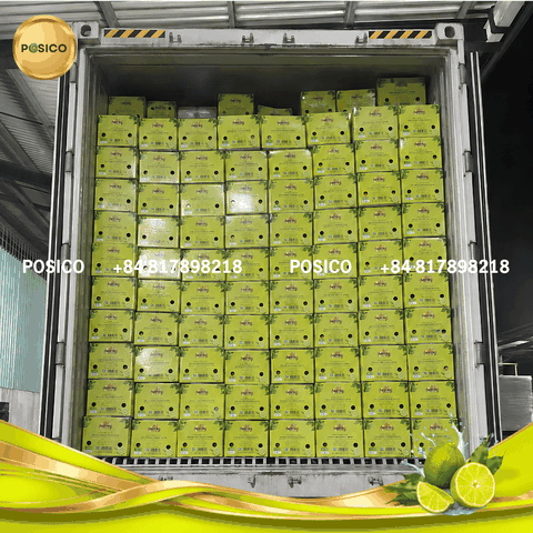 Fresh Lime Export from Vietnam: 40’ Container Ready for Singapore Fruit Distributor