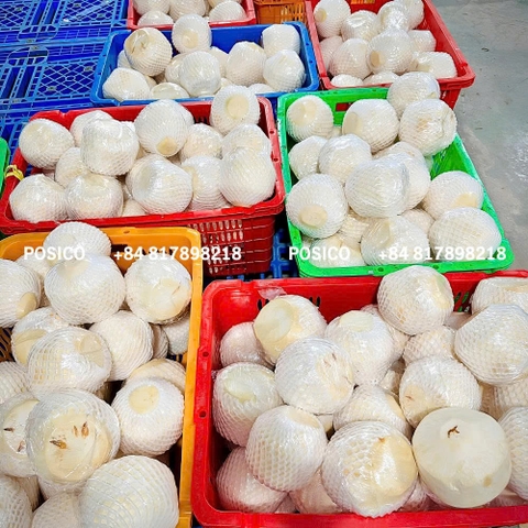 The 4-Stage QC Process Behind Every POSICO Coconut Shipment