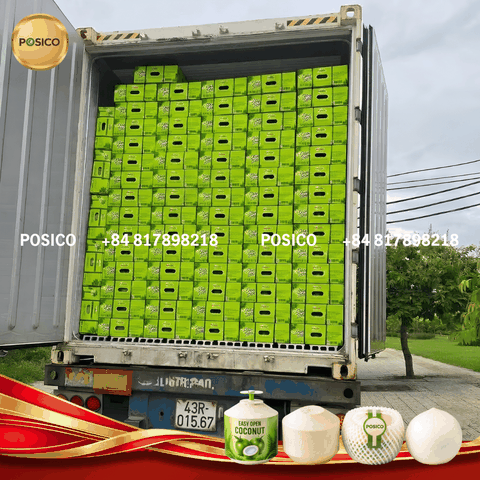 2 × 40' Containers of Fresh Coconut Shipped from Vietnam to Taiwan