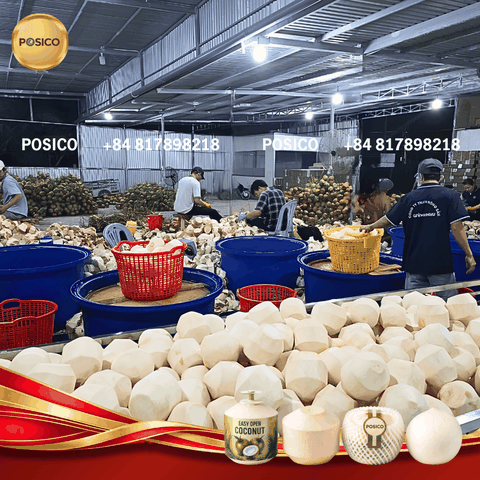Choosing the Right Spec for Diamond-Cut Coconut: How POSICO Advises Buyers