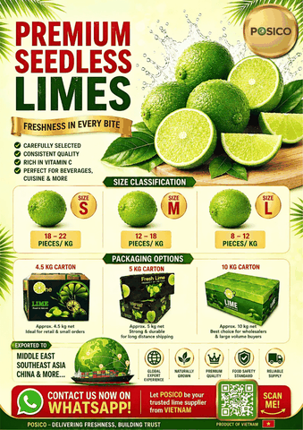 Why Vietnamese Seedless Limes Are Becoming a Smart Choice for Importers