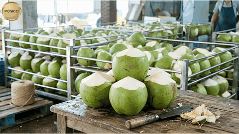 Choosing the Right Semi-Trimmed Coconut Spec for Export Buyers