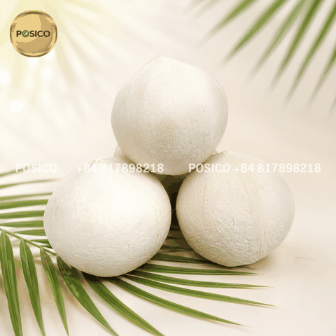 Polished / Bald Coconut (Dừa gọt trọc)