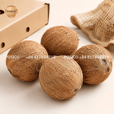 POSICO - Vietnam fully husked mature coconut supplier for export (Dừa khô nguyên trái)