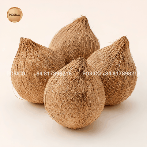POSICO - Vietnam semi husked mature coconut supplier for export