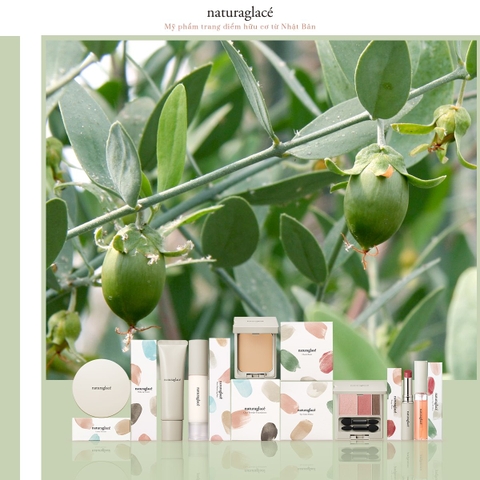 4 CÔNG DỤNG DIỆU KỲ CỦA DẦU JOJOBA CHO LÀN DA PHÁI ĐẸP