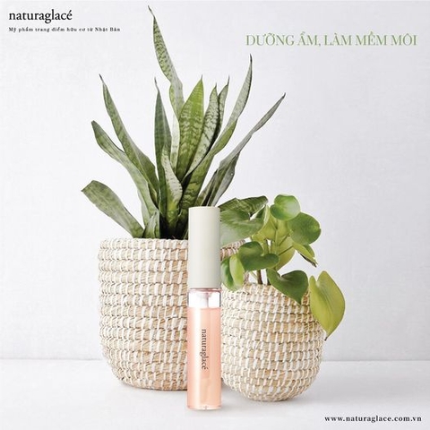 MÔI HỒNG XINH CĂNG MỌNG VỚI SON DƯỠNG HỮU CƠ TREATMENT LIP OIL MORE 01