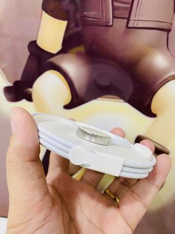 Sạc Apple Watch chính hãng Apple đế thép