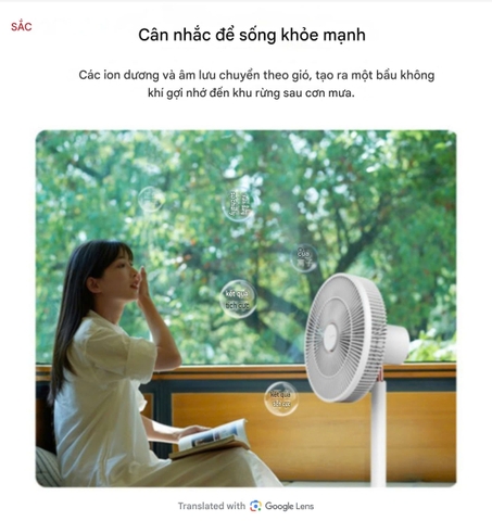 Quạt cây tuần hoàn SHARP PJ-CD204A động cơ DC tiết kiệm điện