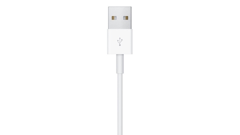 Cáp sạc Apple Watch chính hãng Apple 0.3M Fullbox
