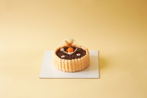 BKR-GT54-BÁNH ITALIA TIRAMISU CHOCOSOIL 16