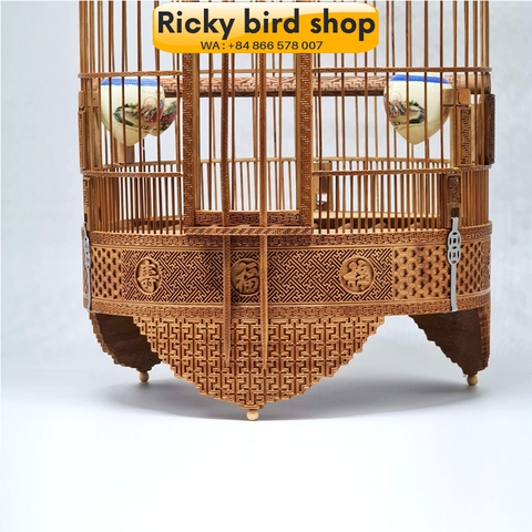 4 bước để nuôi và huấn luyện Họa Mi chiến cực chuẩn | Pet Mart 4 bước để nuôi và huấn luyện Họa Mi chiến cực chuẩn | Pet Mart