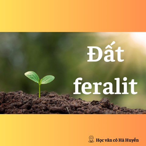 Đất feralit