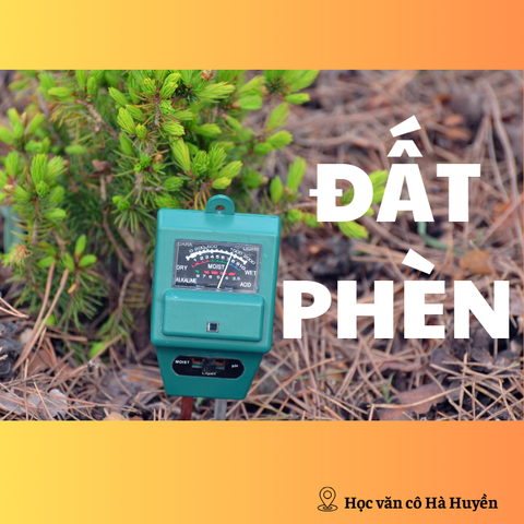 Nguồn gốc đất phèn