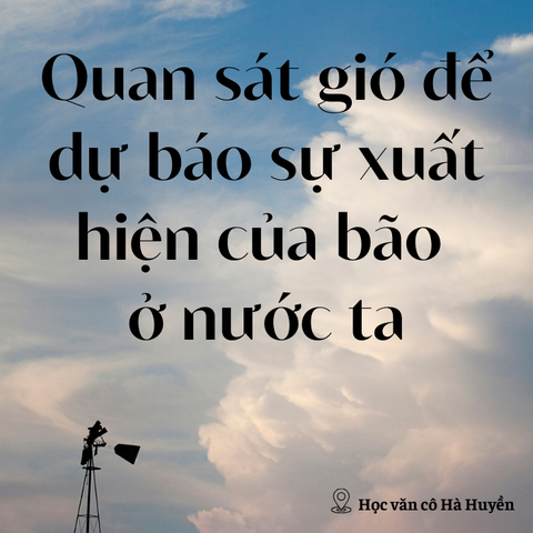 Quan sát gió để dự báo sự xuất hiện của bão ở nước ta
