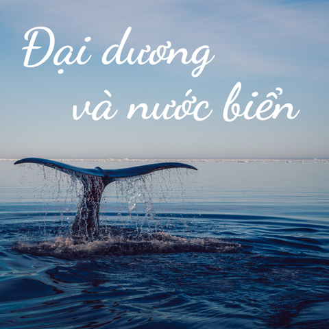 Nước biển và đại dương
