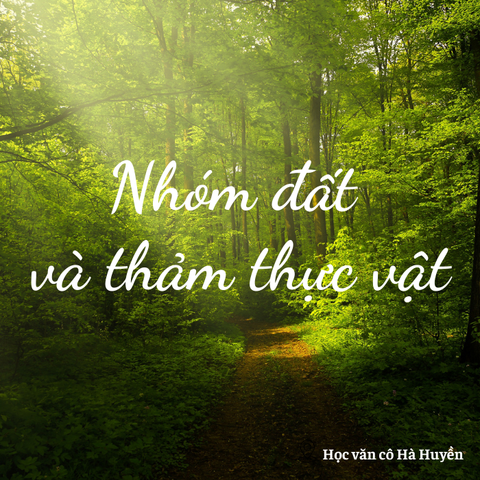 Nhóm đất và thảm thực vật