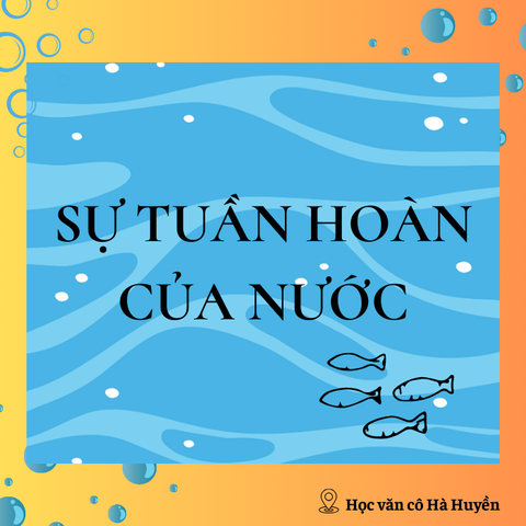 Sự tuần hoàn của nước