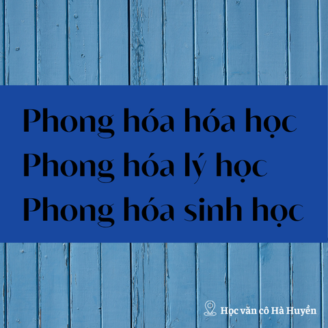 Phong hóa hóa học phong hóa lí học và phong hóa sinh học