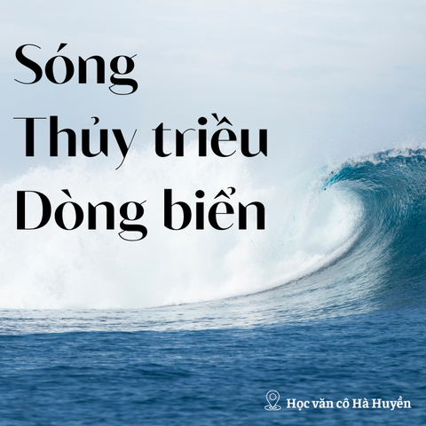 Sóng Thủy triều Dòng biển