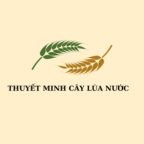 Thuyết minh về cây lúa nước Ngữ Văn lớp 9