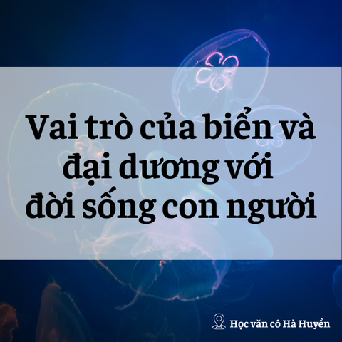 Vai trò của biển và đại dương với đời sống con người